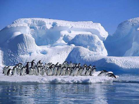 Antartida Argentina